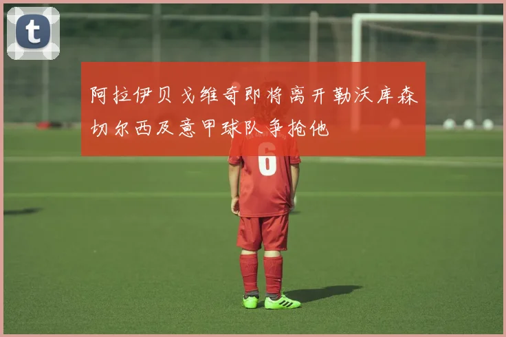 阿拉伊贝戈维奇即将离开勒沃库森切尔西及意甲球队争抢他